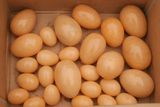 Egg-Shaped Stone