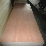 15mm Bintangor Faced Commercial Plywood Factory