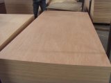 Linyi Bintangor Commercial Plywood