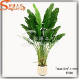 Artificial Banana Plants with High Imitation Supplied From Factory Directory
