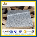 G623 Granite Rosa Beta (YQA-GT1025)