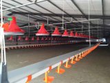 Automatic Poultry Farm Broiler Pan Feeding Line