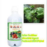 Organic Liquid Plant Root Treatment Fertilizer