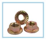 DIN/JIS Browse /Zinc Plainted Hex Flange Nut