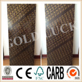 Qingdao Gold Luck Black/Brown Waterproof Construction Formply