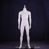 Hot Sale Standing Headless Male Mannequin for Different Styles