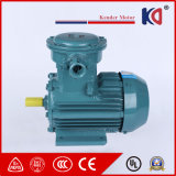 Three Phase AC Frame-Proof Electric Motor for Winch