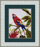 Parrots Macaw Forest Wild Birds Tree Framed Oil Painting