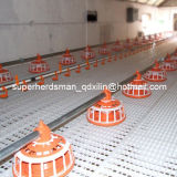 Automatic Poultry Feeder and Nipple Drinker for Chicken