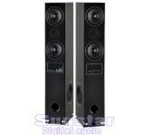 SLF-8.1 Speaker