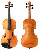 Hand Made Advanced Violin with Ebnoy Accessories for Master