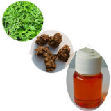 Natural Lovage Oil