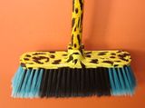 Plastic Broom
