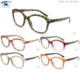 Cheap Plastic Italian Eyewear Frames (PL951)