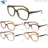 Cheap Plastic Italian Eyewear Frames (PL951)