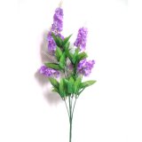 7 Heads Hyacinth Holiday Flowers (F50)