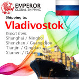 Sea Freight Shipping From China to Vladivostok, Russia