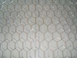 Hot Dipped Galvanized Hexagonal Wire Netting