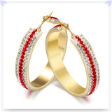 Fashion Jewellery Stainless Steel Jewelry Earrings (EE0101)