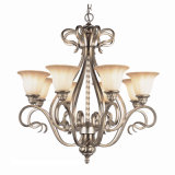 Steel Antique Chandelier with Glass Shade (CH-850-5011X8)