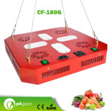 Latest 180W Full Spectrum LED Grow Light, Beats Old 400 HID/HPS