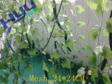 Climbing Plant Support Net (Mesh 24*24)