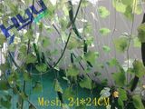 Climbing Plant Support Net (Mesh 24*24)