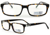 2015 Latest Styles Eyeglasses Acetate Eyewear (BJ12-124)