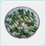 Chloramphenicol Capsule with GMP (LJ-MA-024)