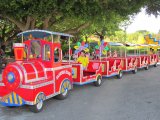 Tour Train, Trackless Train, Electric Train for Sale