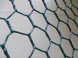 PVC Coated Hexagonal Wire Netting
