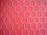 Hexagonal Wire Mesh