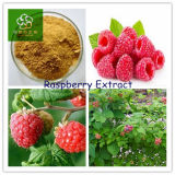 Red Raspberry Extract Raspberry Ketone, Raspberry Extract, Raspberry Extract Powder, Raspberry Ketone Extract, Raspberry Fruit Extract, Fructus Rubi Extract
