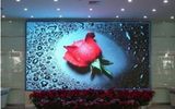 P5mm Indoor Full-Color LED Display/ Full-Color LED Display