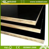 12mm Black Film Faced Plywood (w15416)