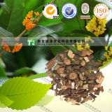 100% Pure Natural Herb Medicine Cinnamon