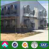 Steel Structure Poultry House/Shed, Chicken House