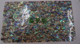 Abalone Paua Shell Wall Paper for Decoration