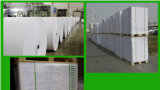 60GSM 64GSM 70GSM 80GSM Lwc/Light Weight Coated Paper