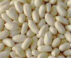 Blanched Peanut (25/29)