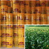 Water-Soluble Fertilizers Containing Amino-Acids with Competitive Price