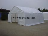 Portable Shelter, Carport, Warehouse (TSU-2424)