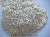 Dehydrated White Onion Powder