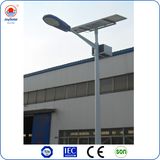 Solar Light Garden Light/Large Outdoor Solar Lights