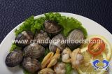 Frozen Boiled Baby Clam Meat