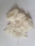 Recycle Polyester Fiber Raw White