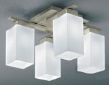 Ceiling Light (11016)