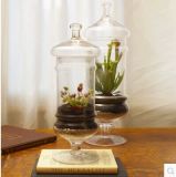 Glass Decoration Storage Jar with Lid
