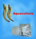 Disinfectant for Aquaculture Industry (ZG-004)