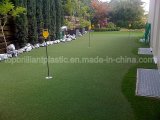 Golf Lawn (GM12285)
